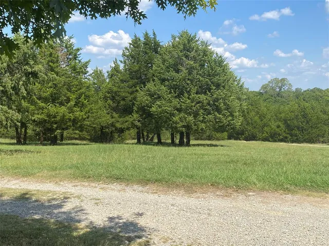 a view of a yard and entertaining space
