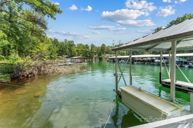 a view of a lush green space