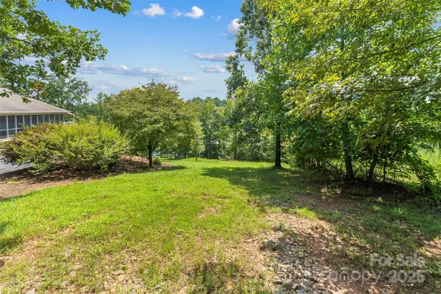 a view of a trees with a yard
