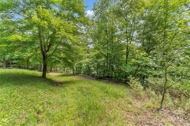 a view of a yard with a tree