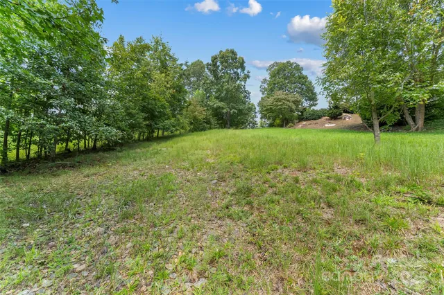 a view of outdoor space and trees