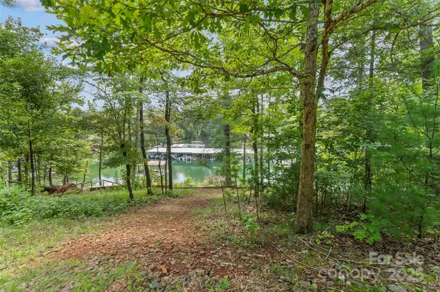 a view of lake with green space