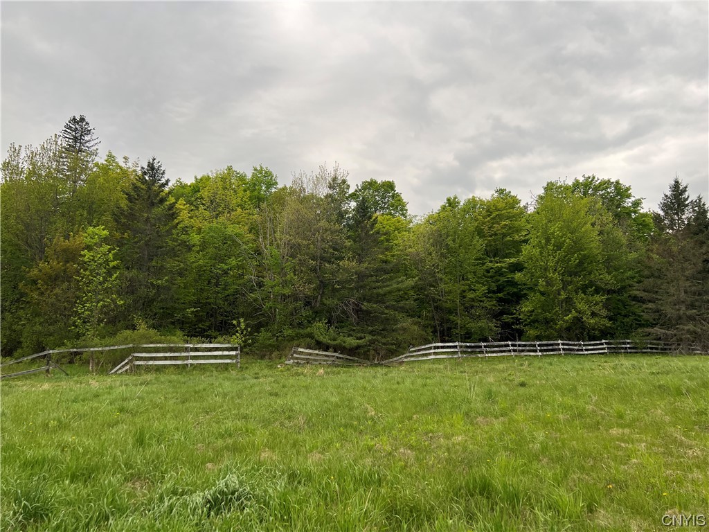 589 Sylvia Lake Road Fowler, NY 13642 - Photo 2 of 4