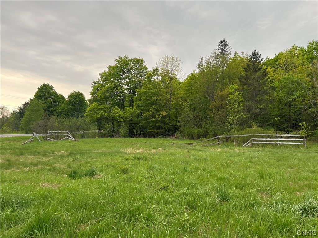 589 Sylvia Lake Road Fowler, NY 13642 - Photo 3 of 4