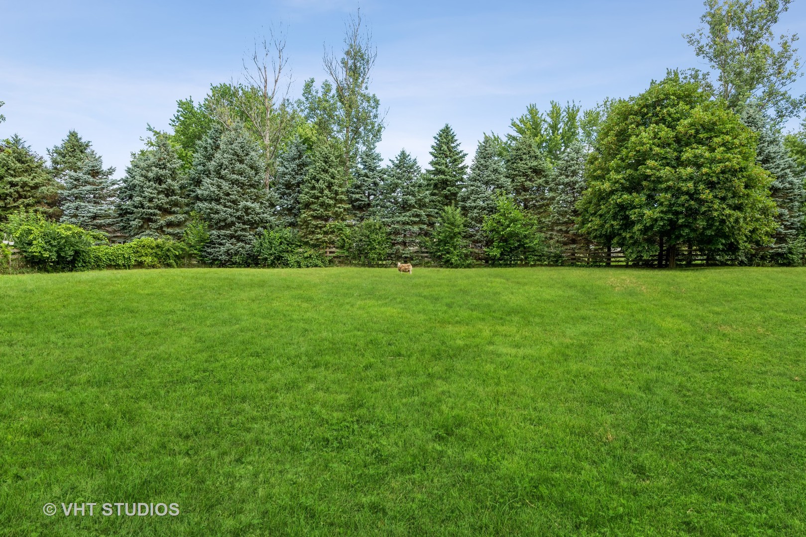 8308 Schmidt Street Spring Grove, IL 60081 - Photo 21 of 33 a view of a grassy field with trees in the background