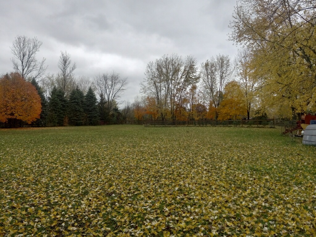 8308 Schmidt Street Spring Grove, IL 60081 - Photo 32 of 33 a view of a field