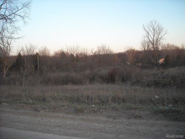 Five Five Mile Road South Lyon, MI 48178 - Photo 1 of 1