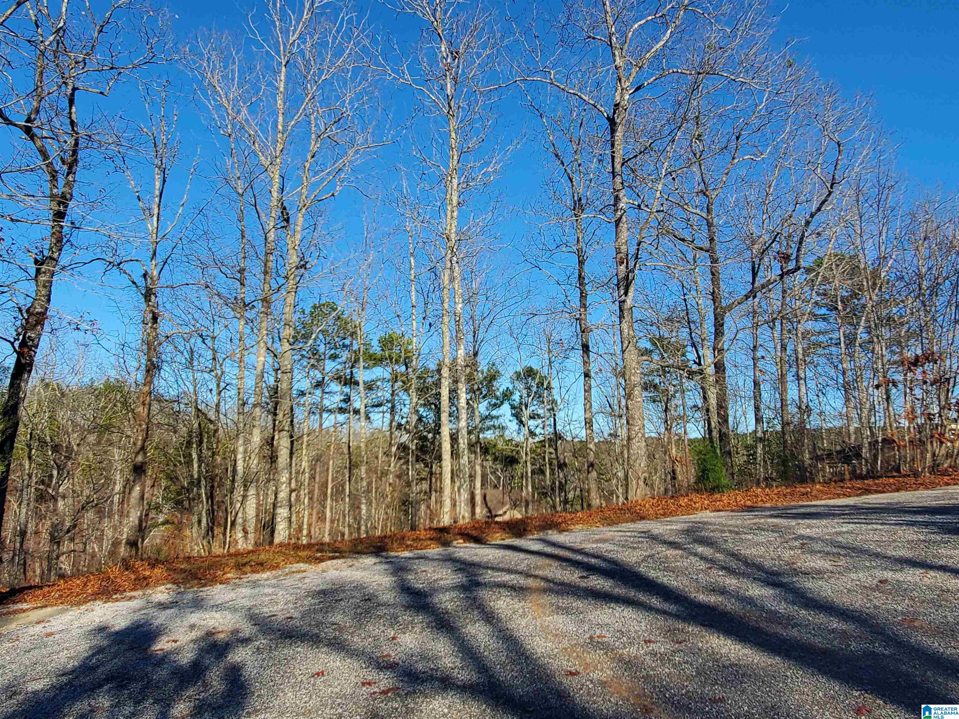 Lot 17 Dogwood Ridge, Unit 17 Wedowee, AL 36278 - Photo 5 of 12 Gallery Image 5
