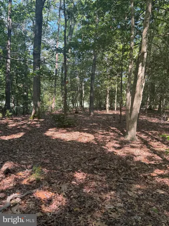 $162,000 | 0 Nancy Lane, King George, VA 22485