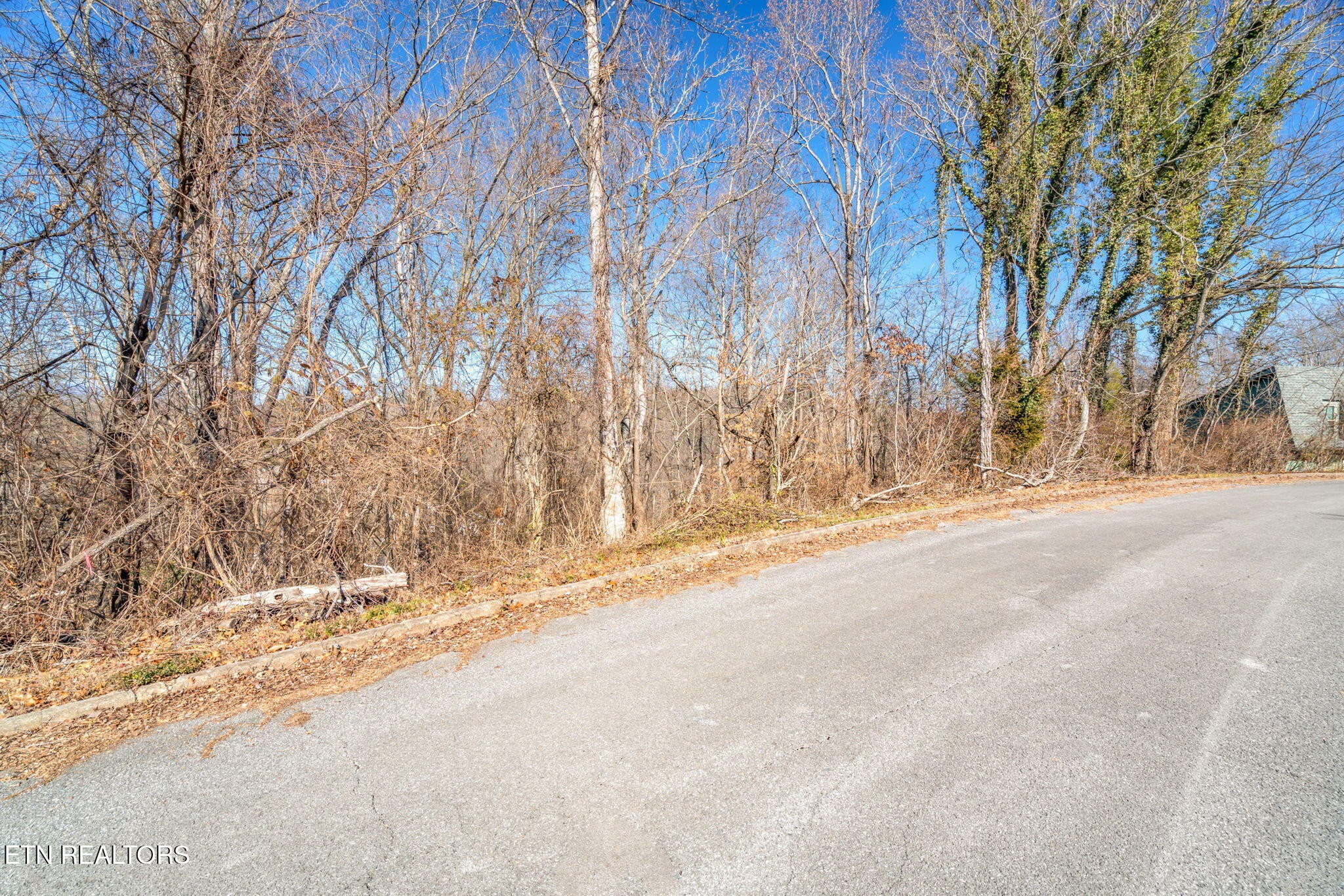 48 Orchard Knob Road Clinton, TN 37716 - Photo 24 of 29 Gallery Image 24