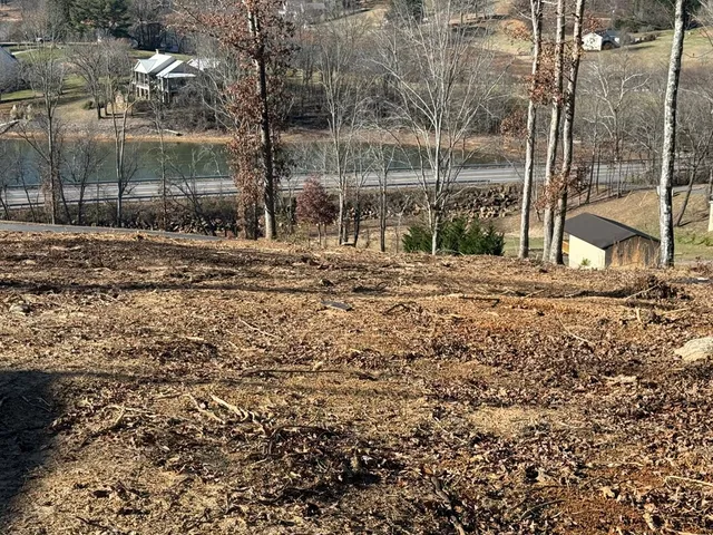a view of a yard with a tree
