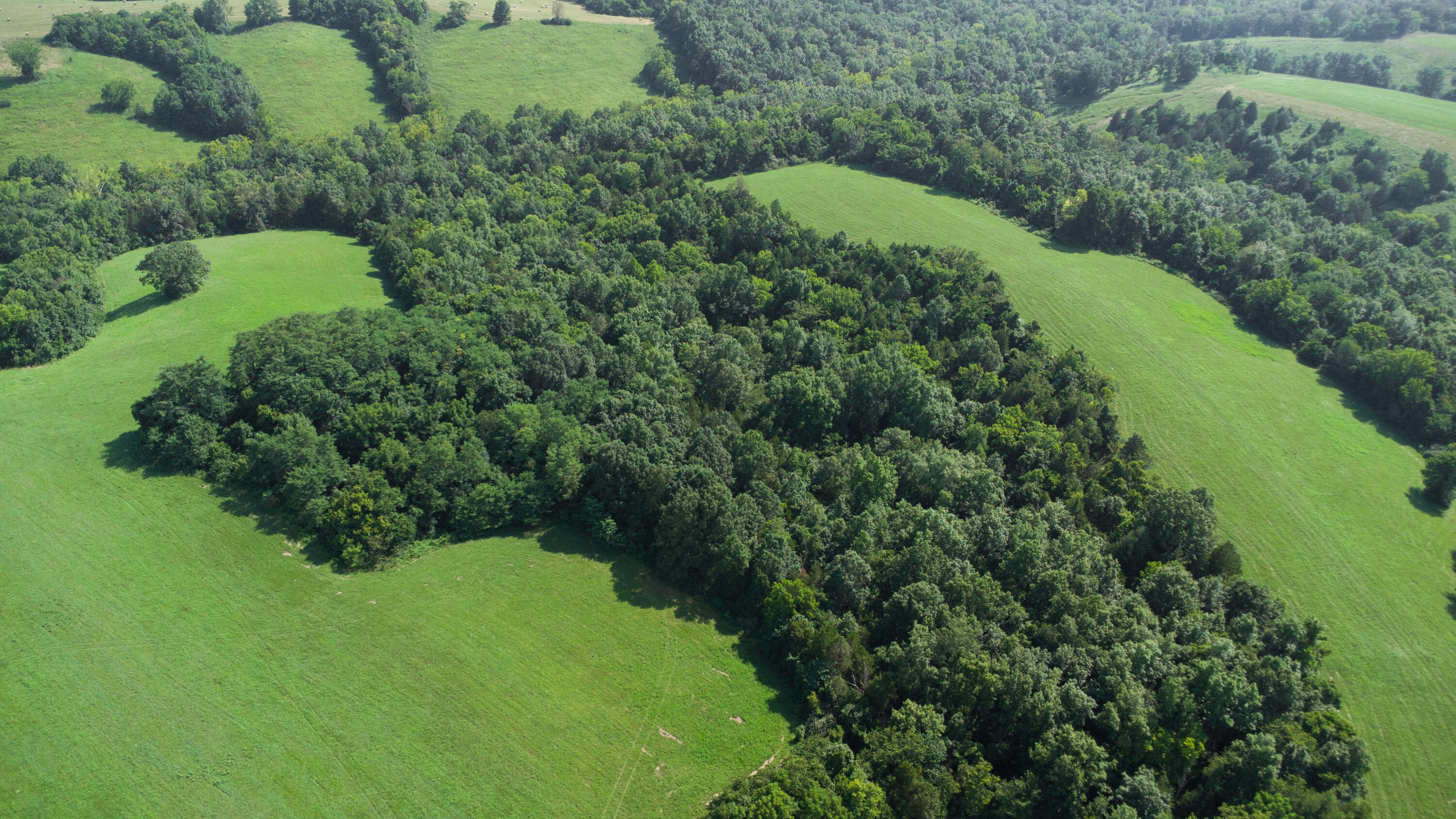 0 Baton Rouge Tract 1 Road Williamstown, KY 41097 - Photo 6 of 25
