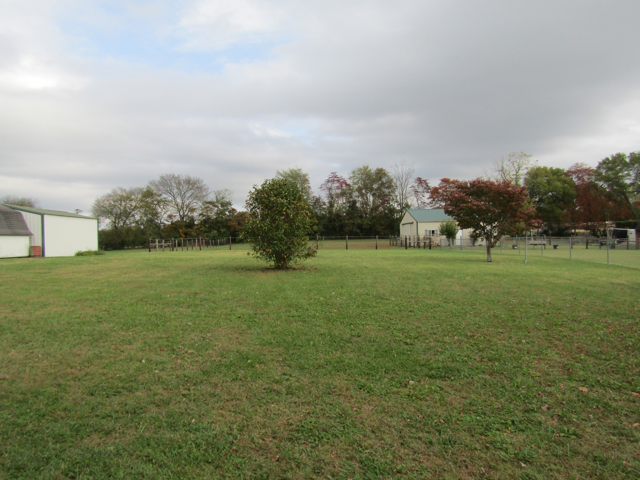 128 Haskins Chapel Road Lewisburg, TN 37091 - Photo 6 of 20 Gallery Image 6