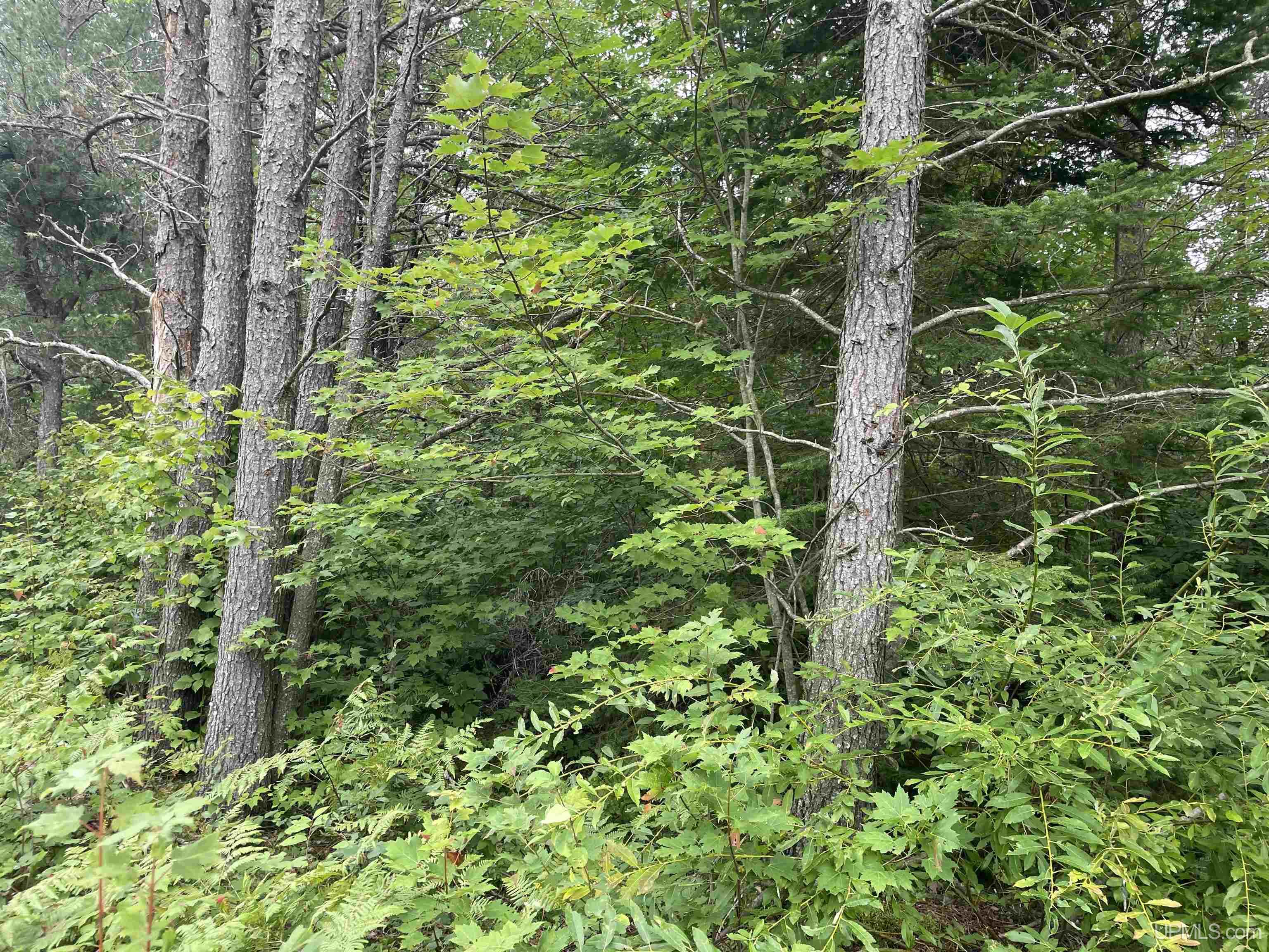 456 North Rd Little Lake Little Lake, MI 49833 - Photo 14 of 29