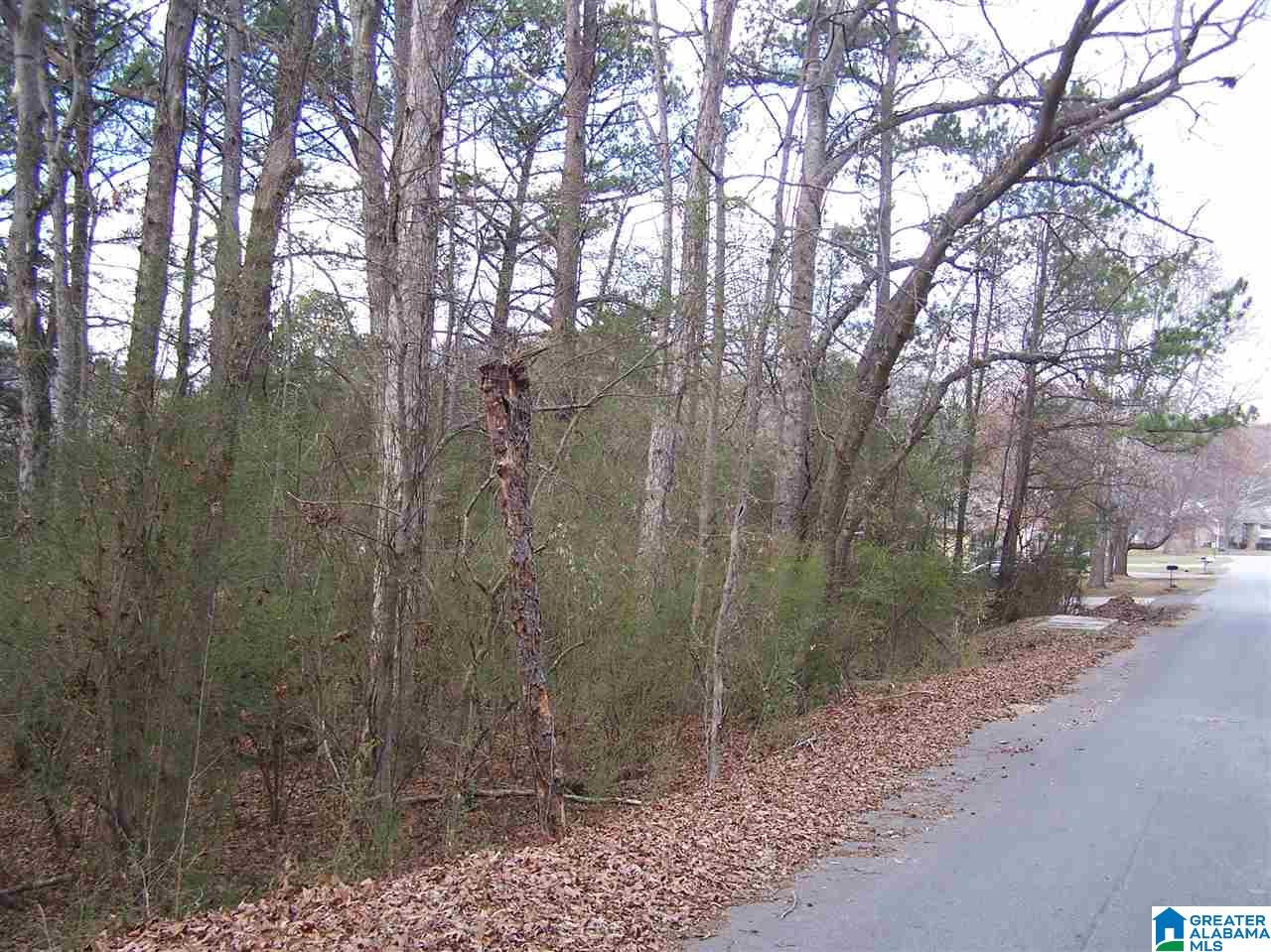 Virginia Street, Unit 6 & 7 Oneonta, AL 35121 - Photo 7 of 7