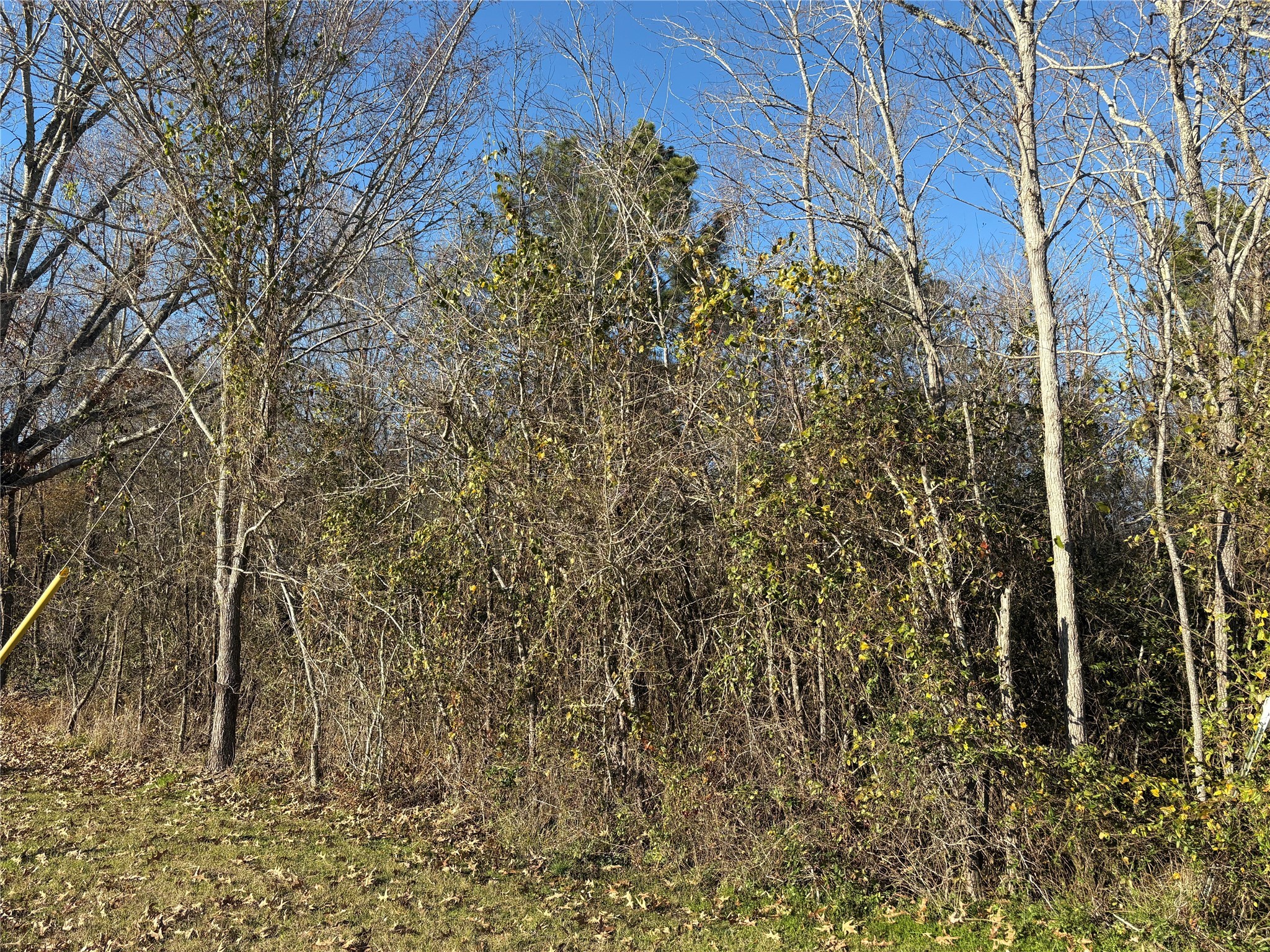 0 Us-190 Point Point Blank, TX 77364 - Photo 3 of 11 a view of a yard