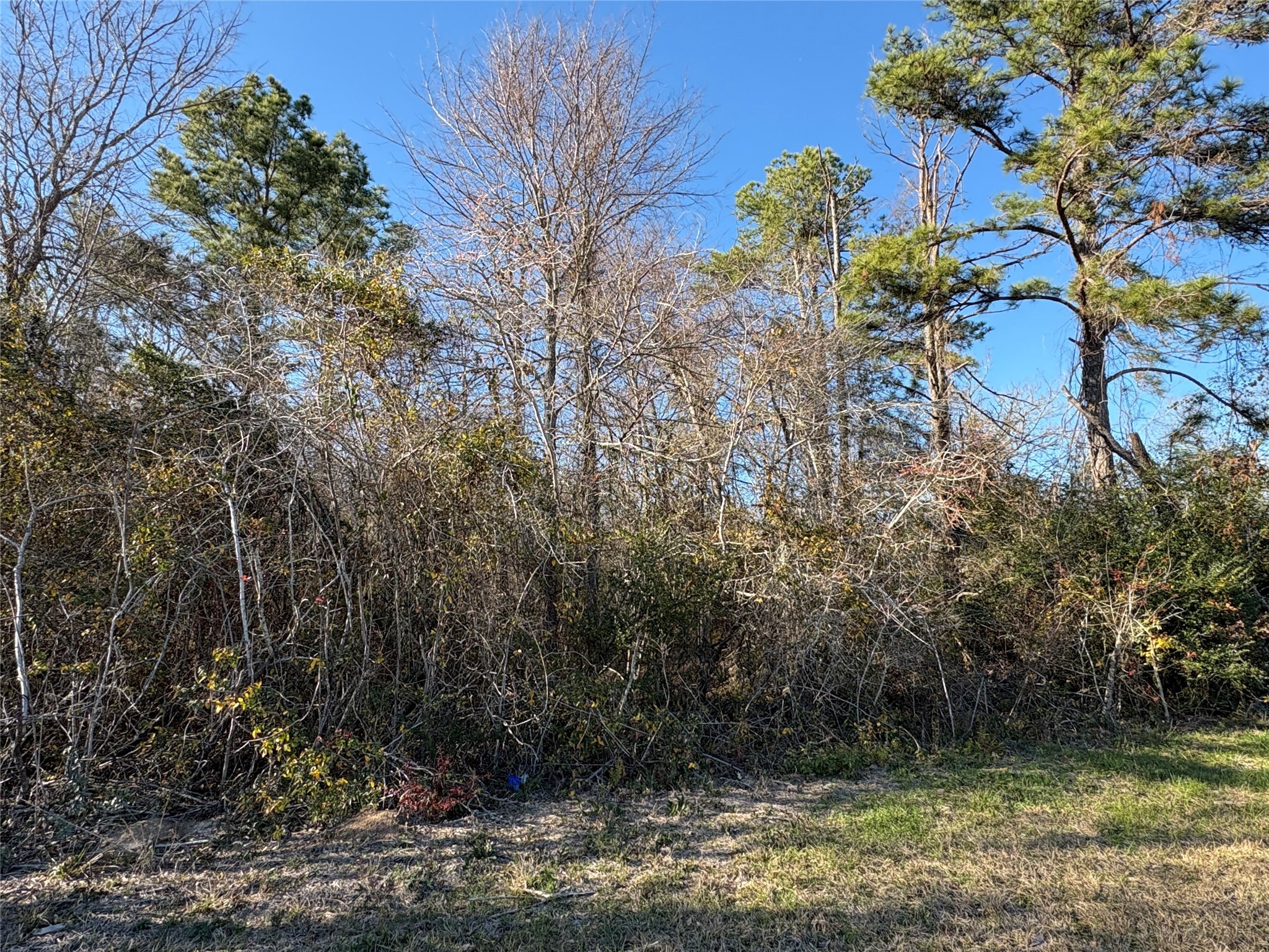 0 Us-190 Point Point Blank, TX 77364 - Photo 9 of 11 a view of a water fountain in front of a house