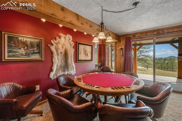 334 Pulver Road Lake George, CO 80827 - Photo 23 of 50 part of the massive family room