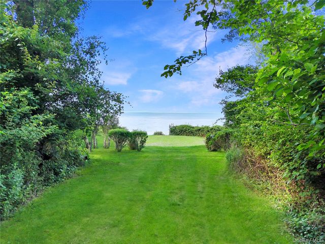 a view of a garden with plants and large trees