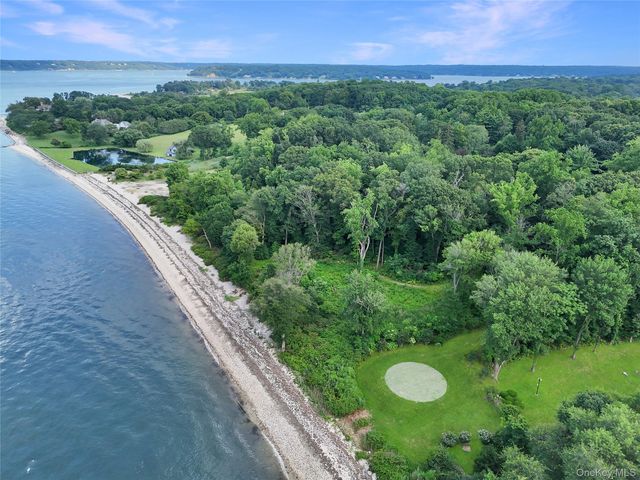 a view of a lush green forest with lots of trees