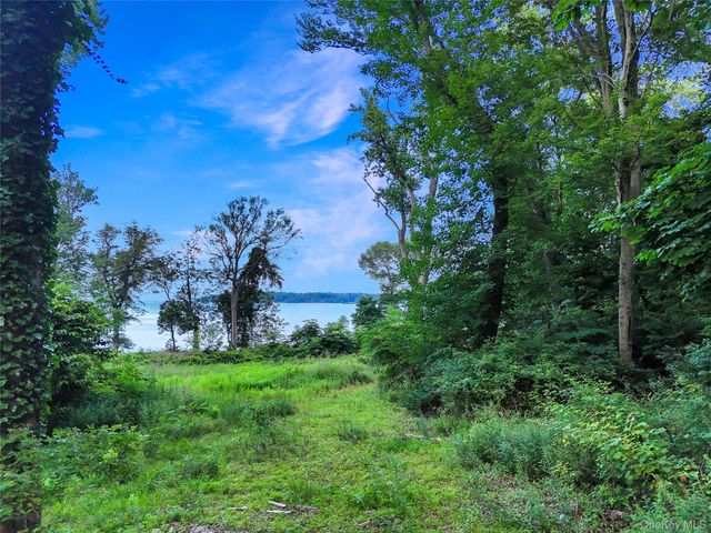 a view of a garden with of trees