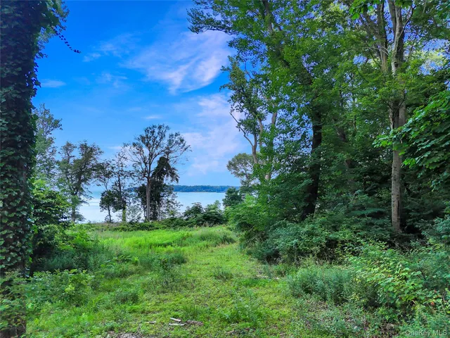 a view of a garden with of trees