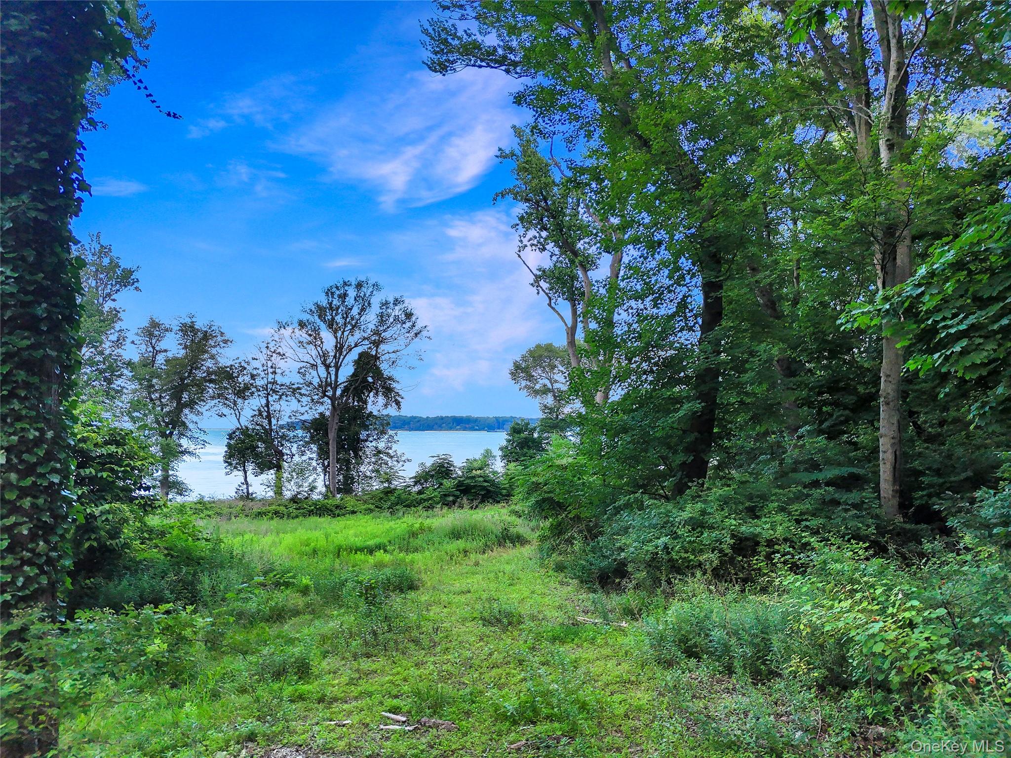 144 Centre Island Road Centre Island, NY 11771 - Photo 10 of 12 a view of a garden with of trees