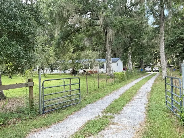 a view of a park with large trees