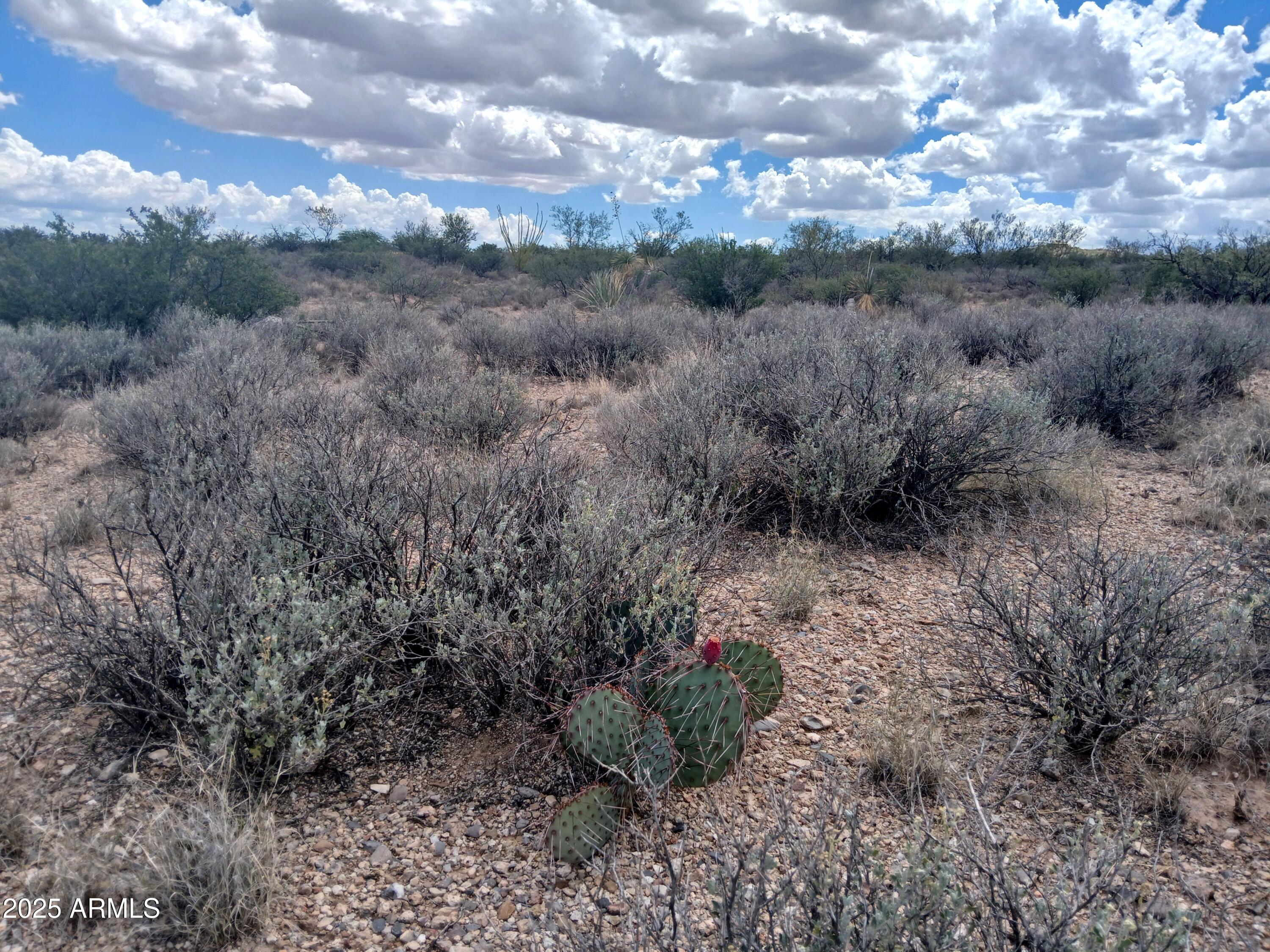 Tbd West Dragoon Road Cochise, AZ 85606 - Photo 15 of 35 a view of a dry yard