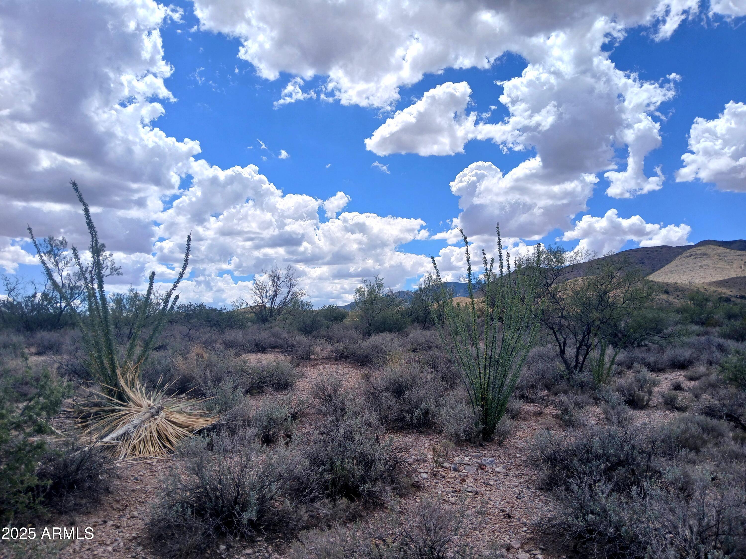 Tbd West Dragoon Road Cochise, AZ 85606 - Photo 16 of 35 a view of a tree in a yard