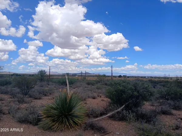 a view of a dry yard with lots of green space