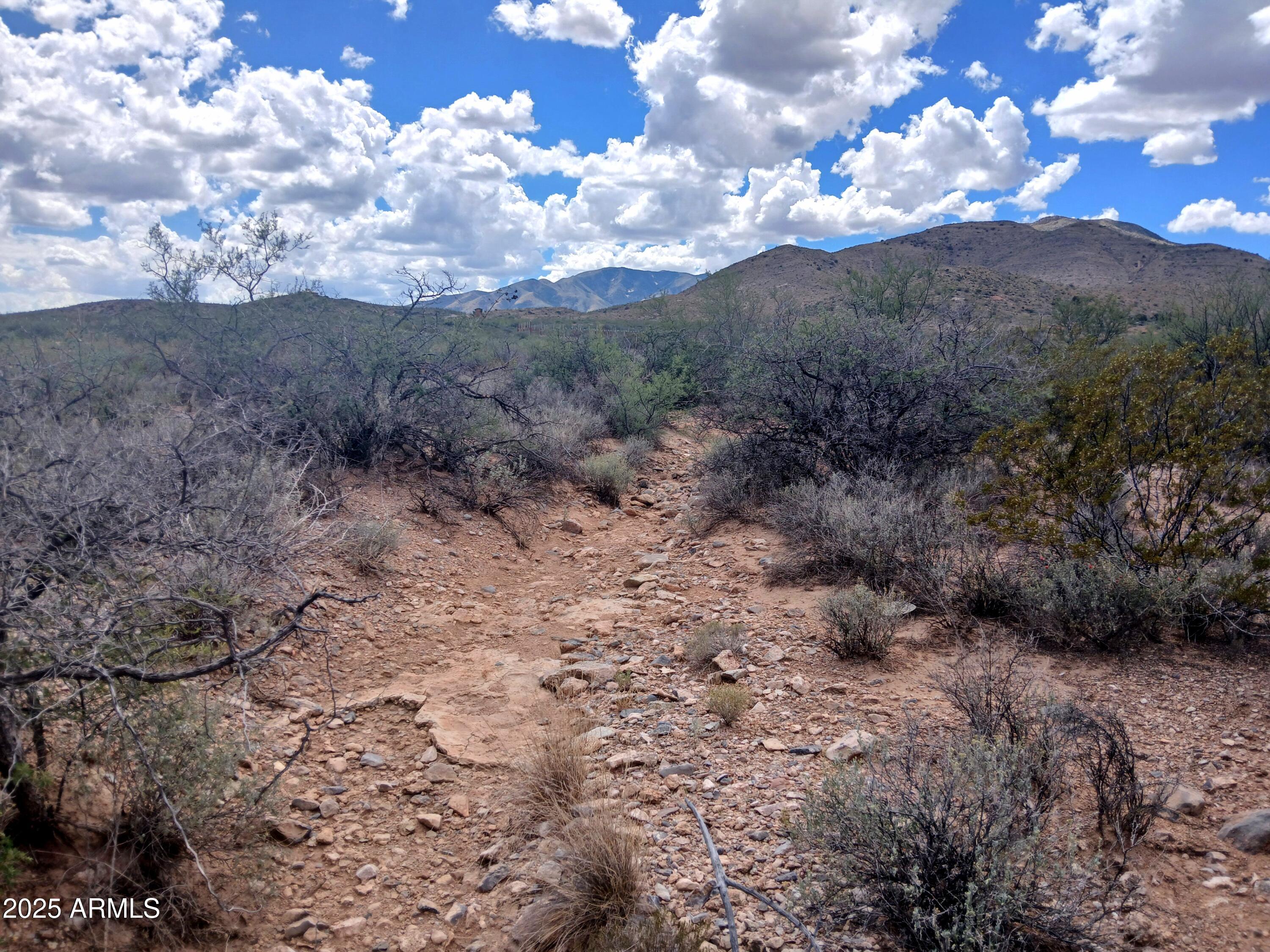 Tbd West Dragoon Road Cochise, AZ 85606 - Photo 28 of 35 a view of a dry yard