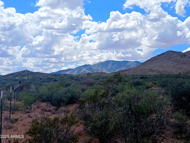 a view of a dry yard with lots of trees