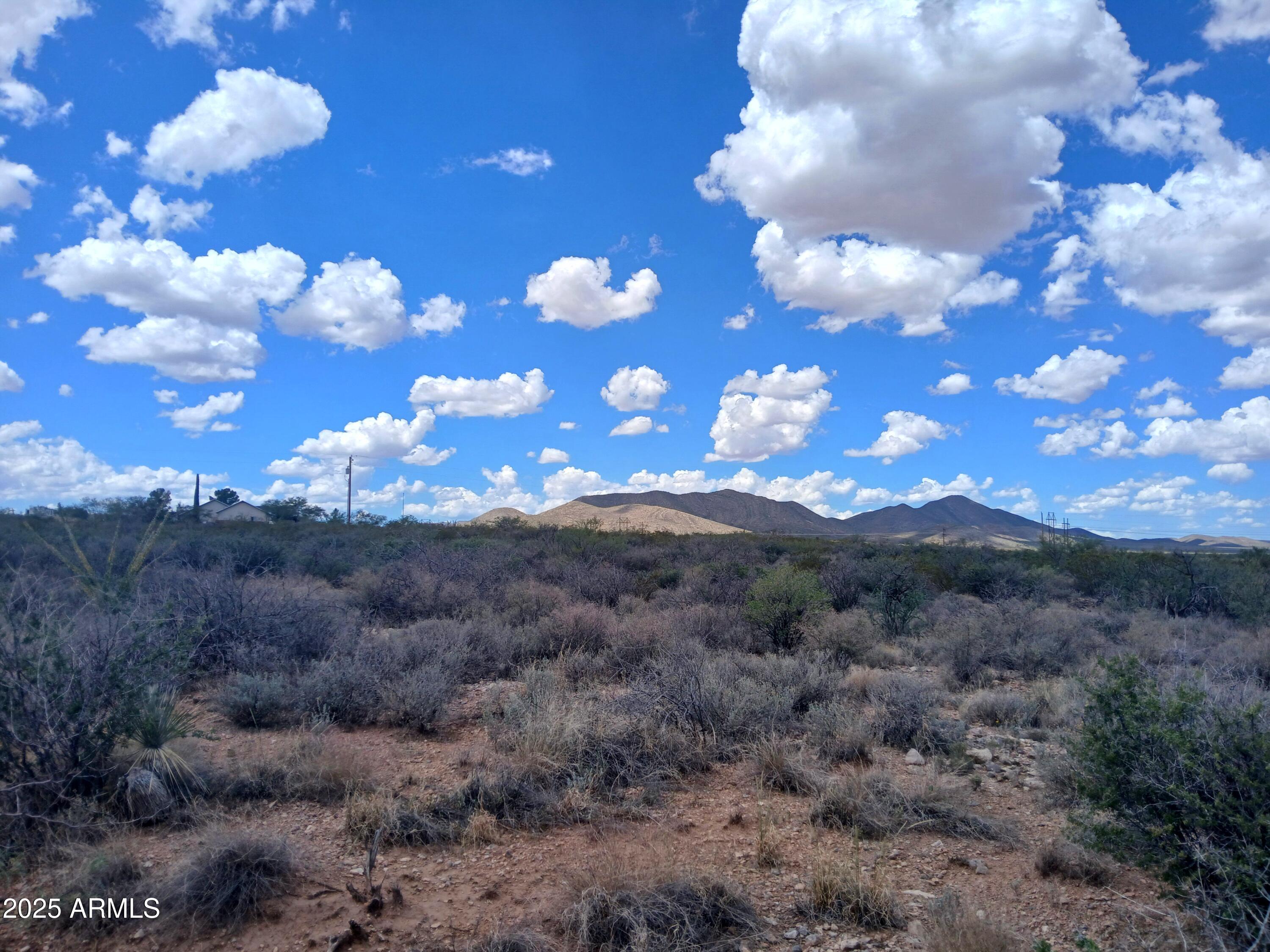 Tbd West Dragoon Road Cochise, AZ 85606 - Photo 32 of 35 a view of a forest