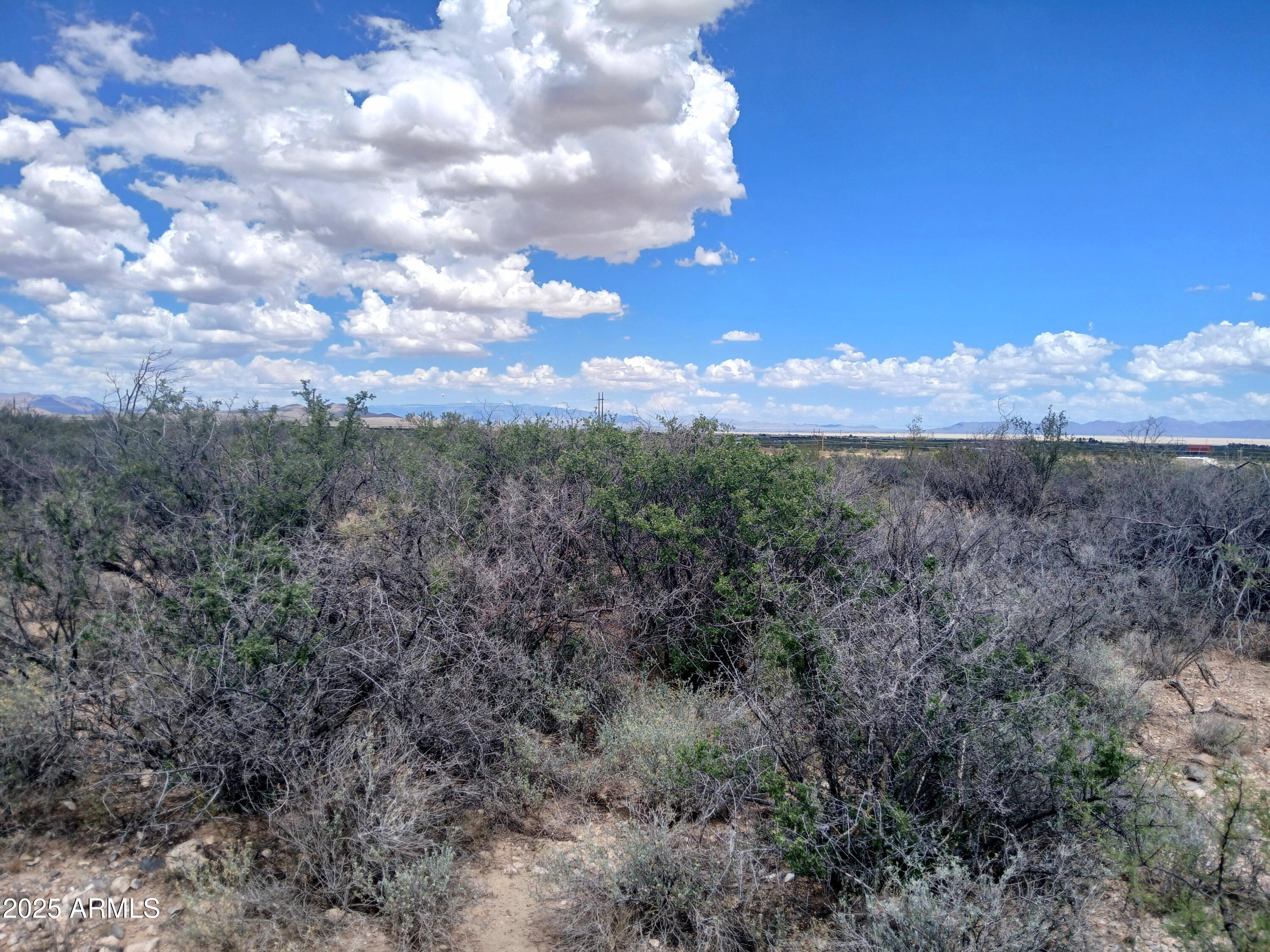 Tbd West Dragoon Road Cochise, AZ 85606 - Photo 33 of 35 a view of a yard