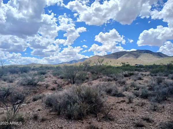a view of a bunch of trees in a field