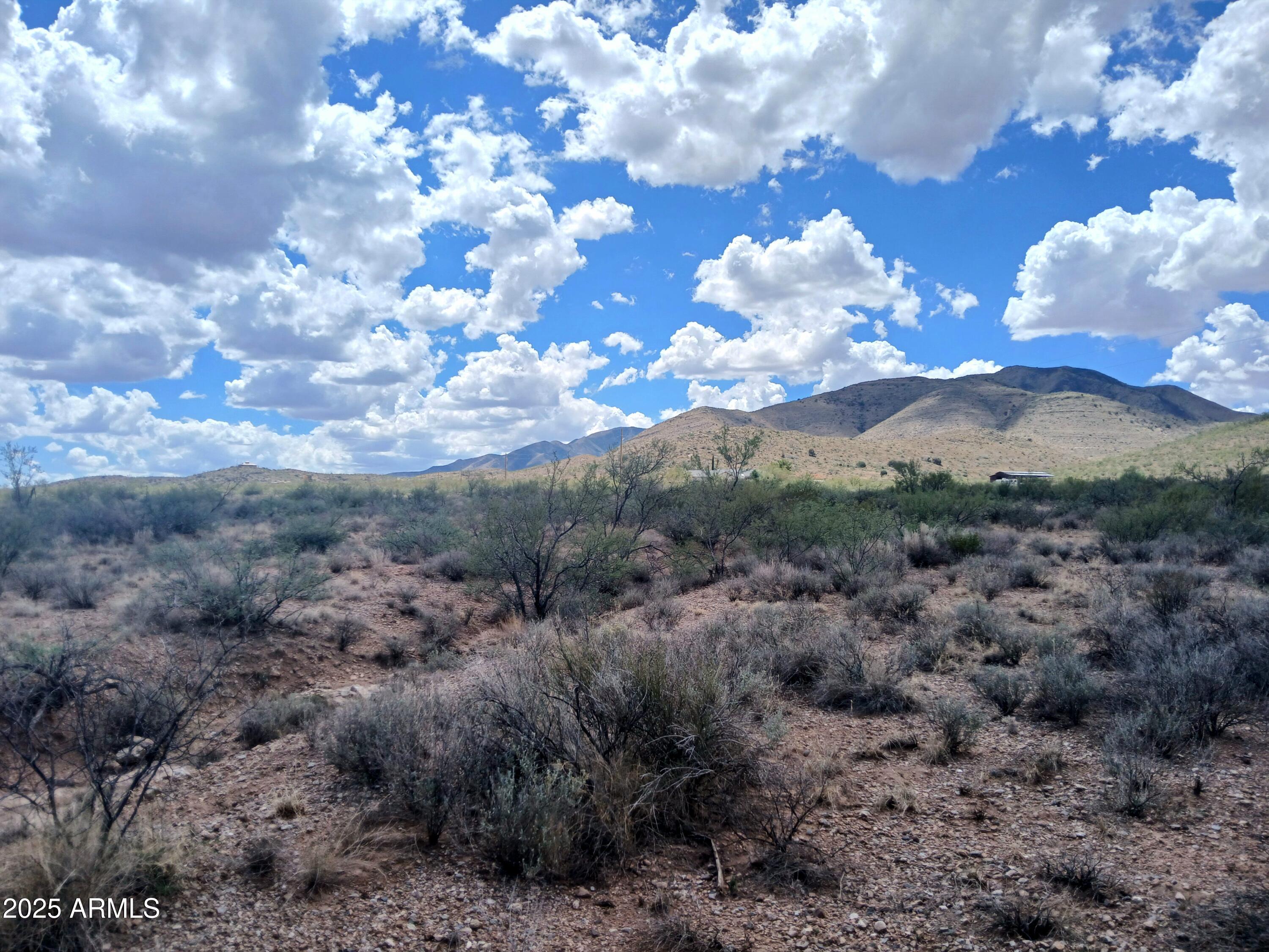 Tbd West Dragoon Road Cochise, AZ 85606 - Photo 8 of 35 a view of a bunch of trees in a field