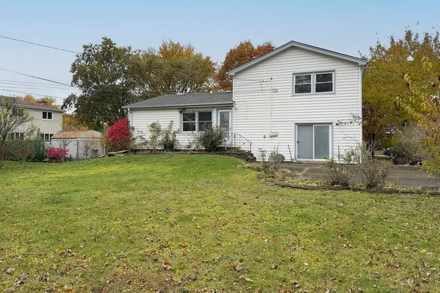 a view of a yard in front of a house with plants and large tree