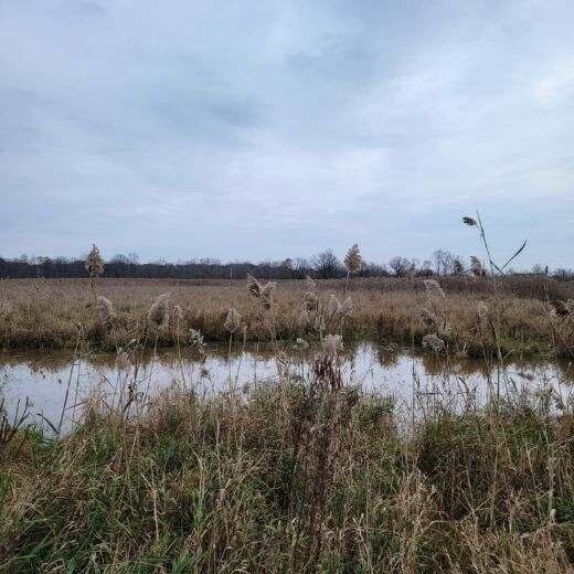 6944 Jordan Road Jackson, MI 49201 - Photo 44 of 60 06 Image