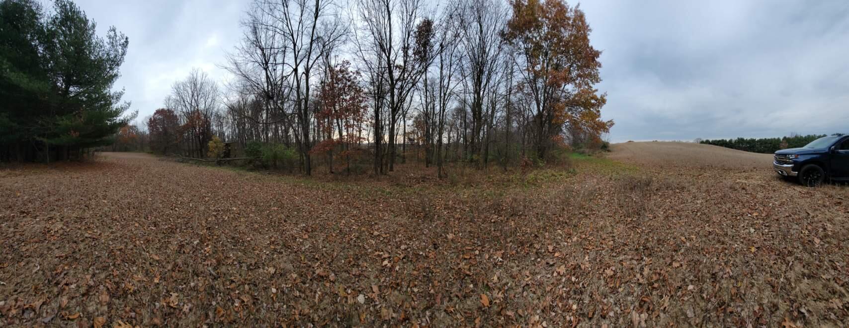 6944 Jordan Road Jackson, MI 49201 - Photo 47 of 60 09 Image