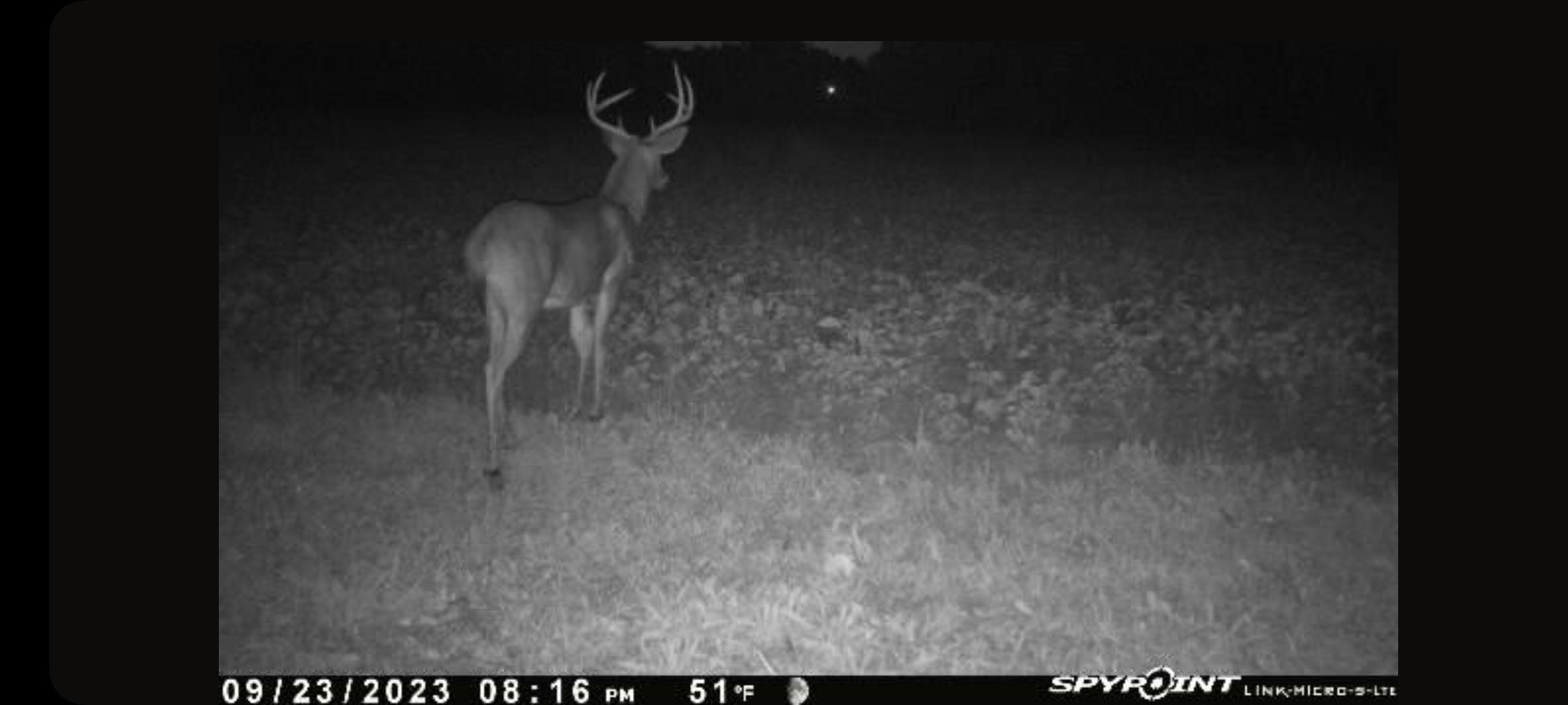 6944 Jordan Road Jackson, MI 49201 - Photo 54 of 60 18 Image