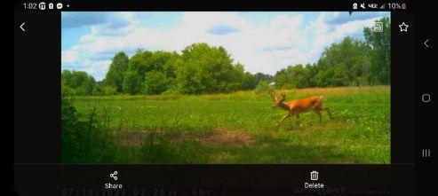 6944 Jordan Road Jackson, MI 49201 - Photo 56 of 60 15 Image