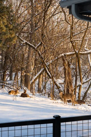 $1,495,000 | 11625 Live Oak Drive, Minnetonka, MN 55305