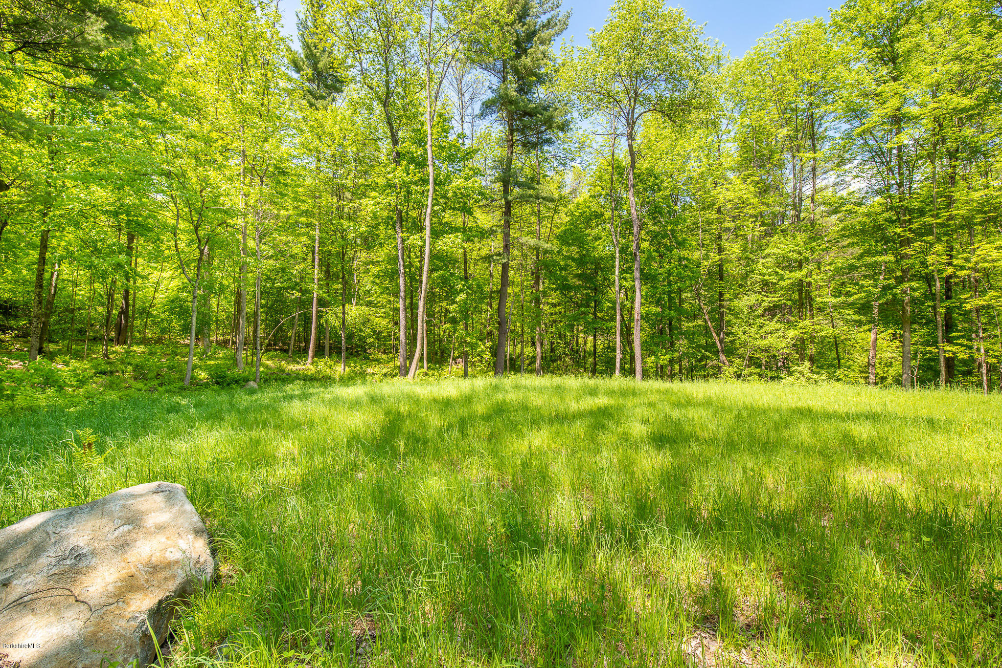PASTORAL SETTING