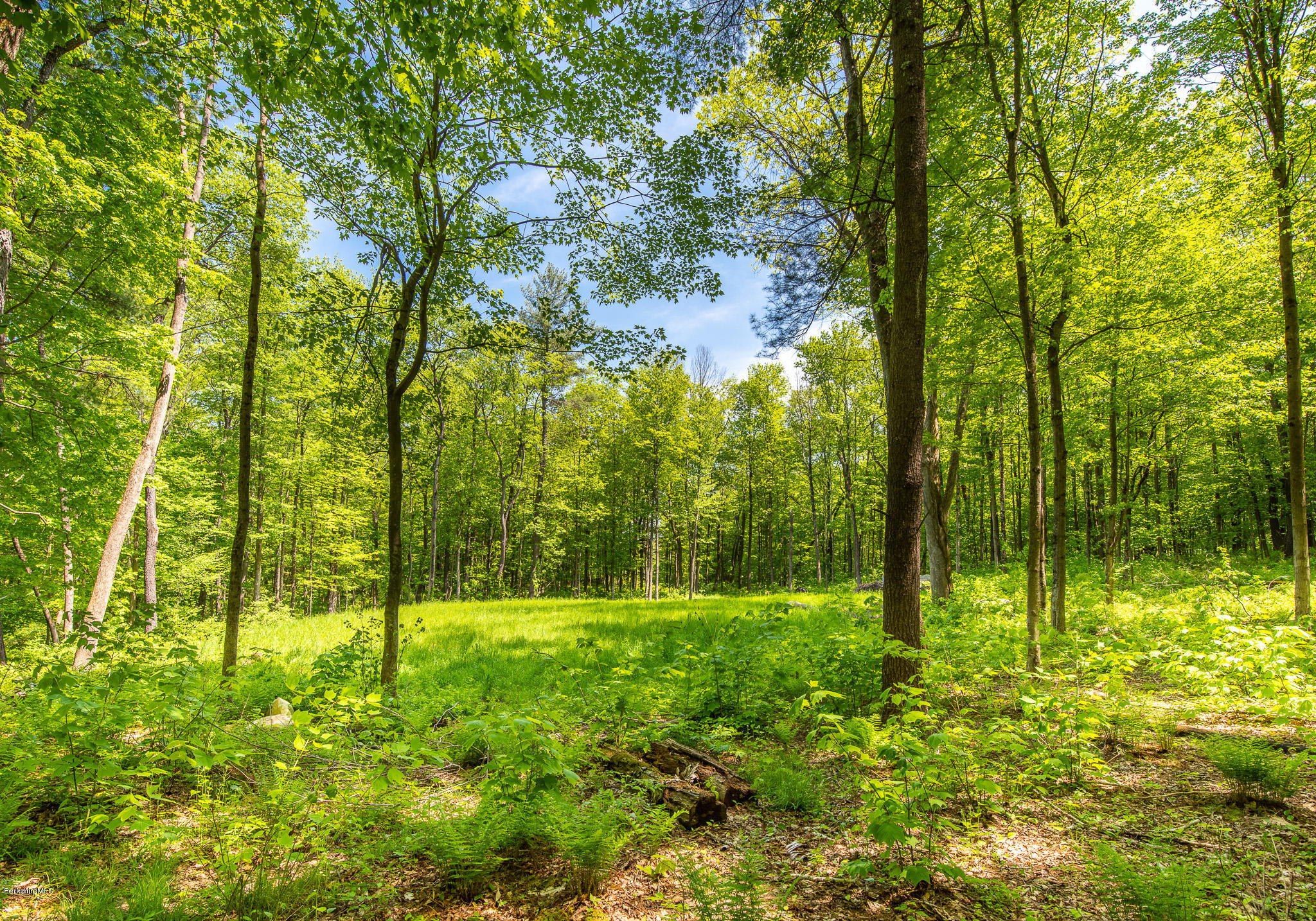 OPEN SPACES