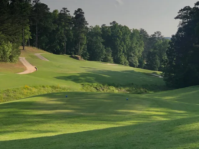 $25,000 | Lot 59 Jeffrey Lane, McCormick, SC 29835