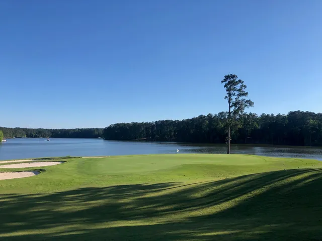 $25,000 | Lot 59 Jeffrey Lane, McCormick, SC 29835