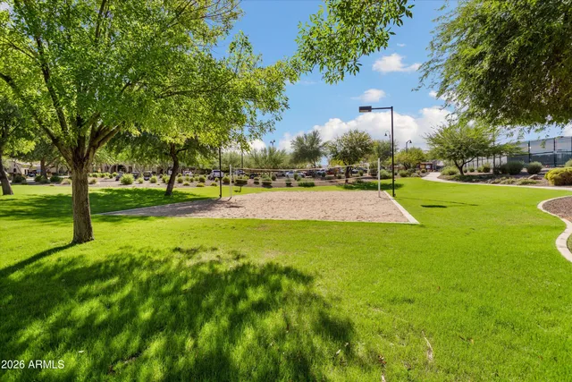 a view of a park with palm trees