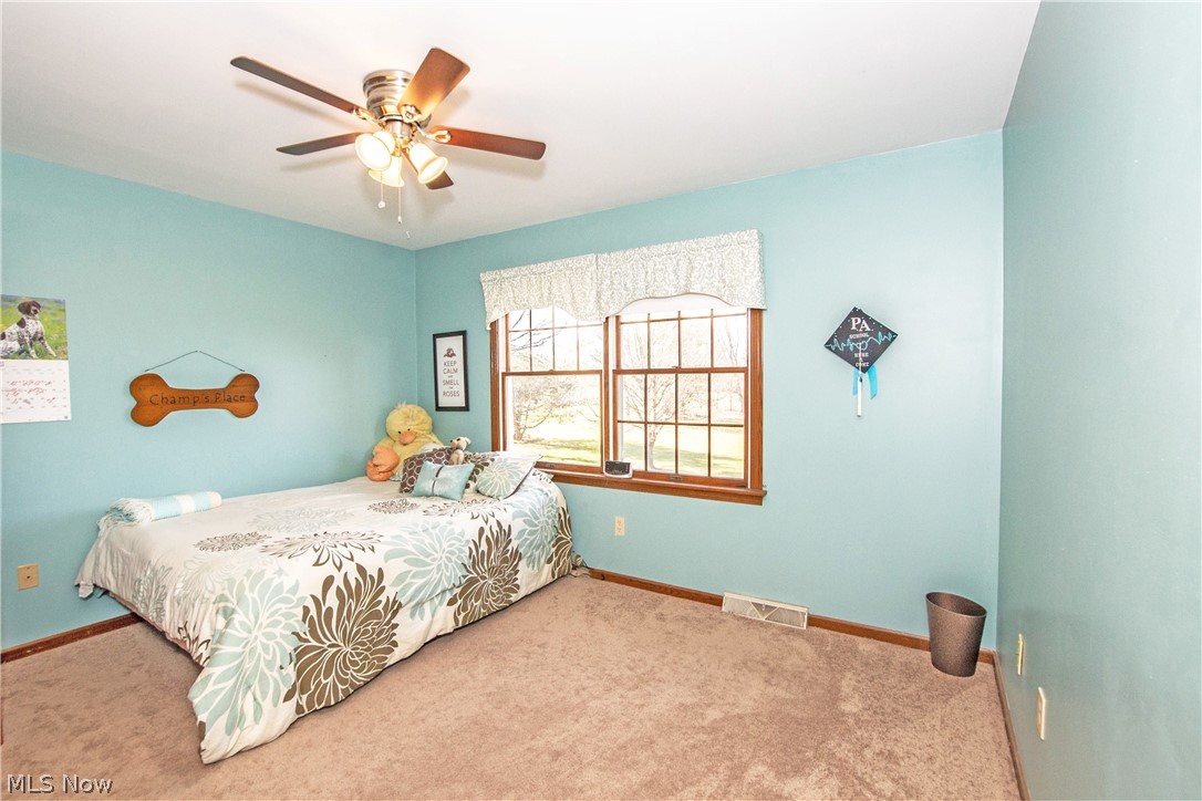 9834 New Buffalo Road Canfield, OH 44406 - Photo 18 of 32 Gallery Image 18