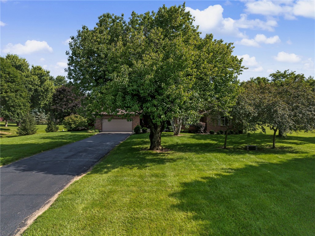 4746 Bolin Avenue Springfield, OH 45502 - Photo 45 of 54